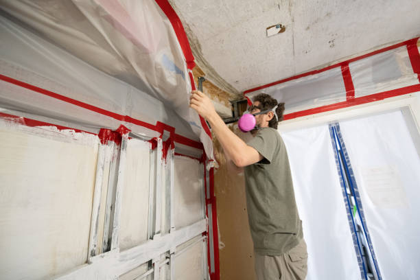 Best Mold-Related Health Consultation  in Town N Country, FL